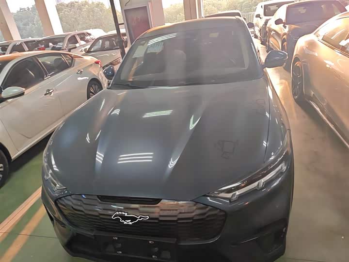 Ford Mustang Mach-E 2021 2021款 跃世后驱版(标准续航)