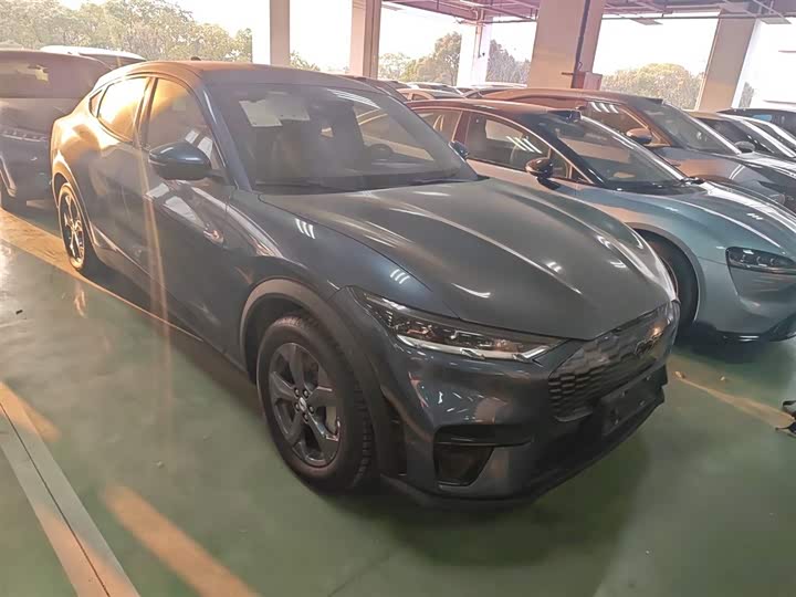Ford Mustang Mach-E 2021 2021款 跃世后驱版(标准续航)