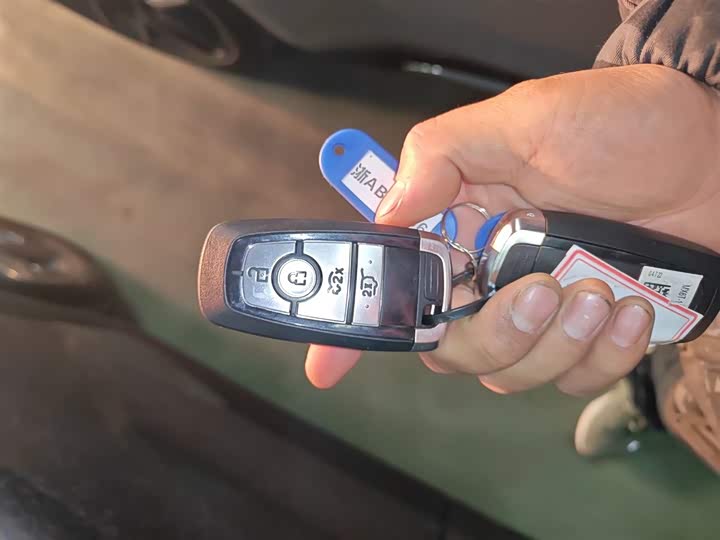 Ford Mustang Mach-E 2021 2021款 跃世后驱版(标准续航)