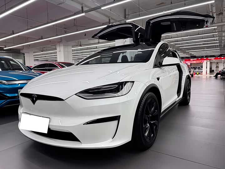 Tesla Model X 2023 2023款 双电机全轮驱动版