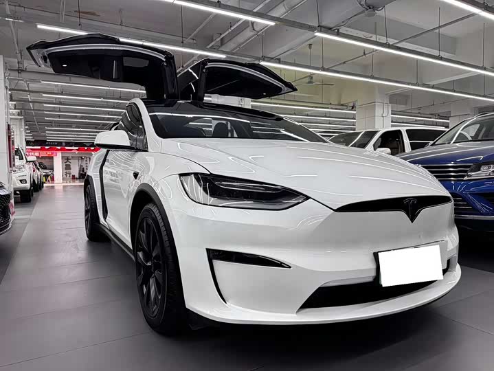 Tesla Model X 2023 2023款 双电机全轮驱动版