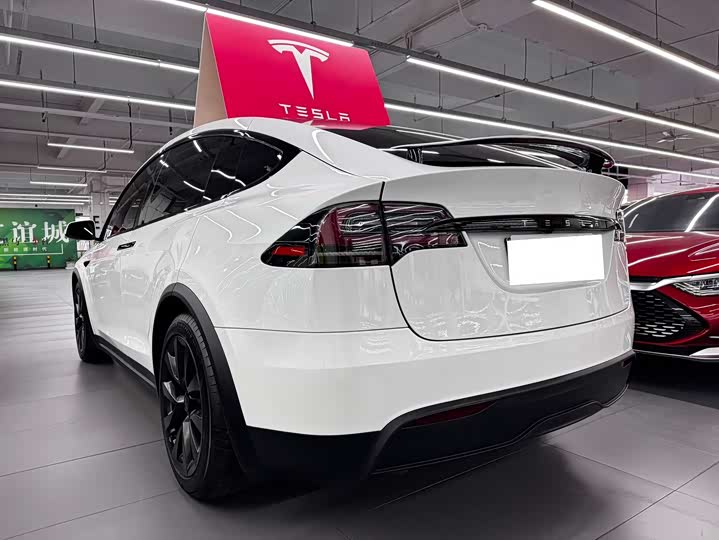 Tesla Model X 2023 2023款 双电机全轮驱动版