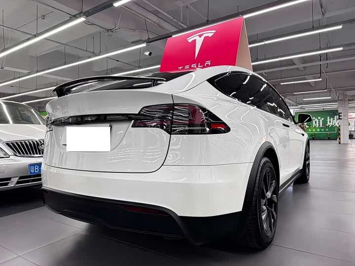 Tesla Model X 2023 2023款 双电机全轮驱动版