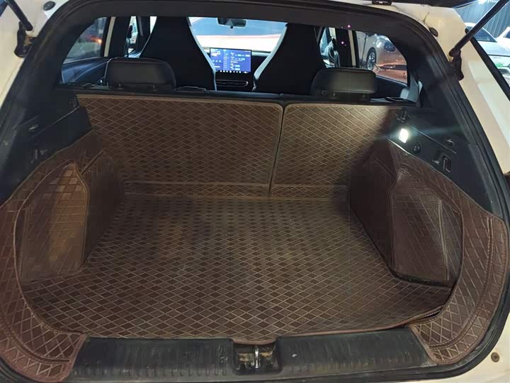 Hozon X 2023 2023款 500 Lite