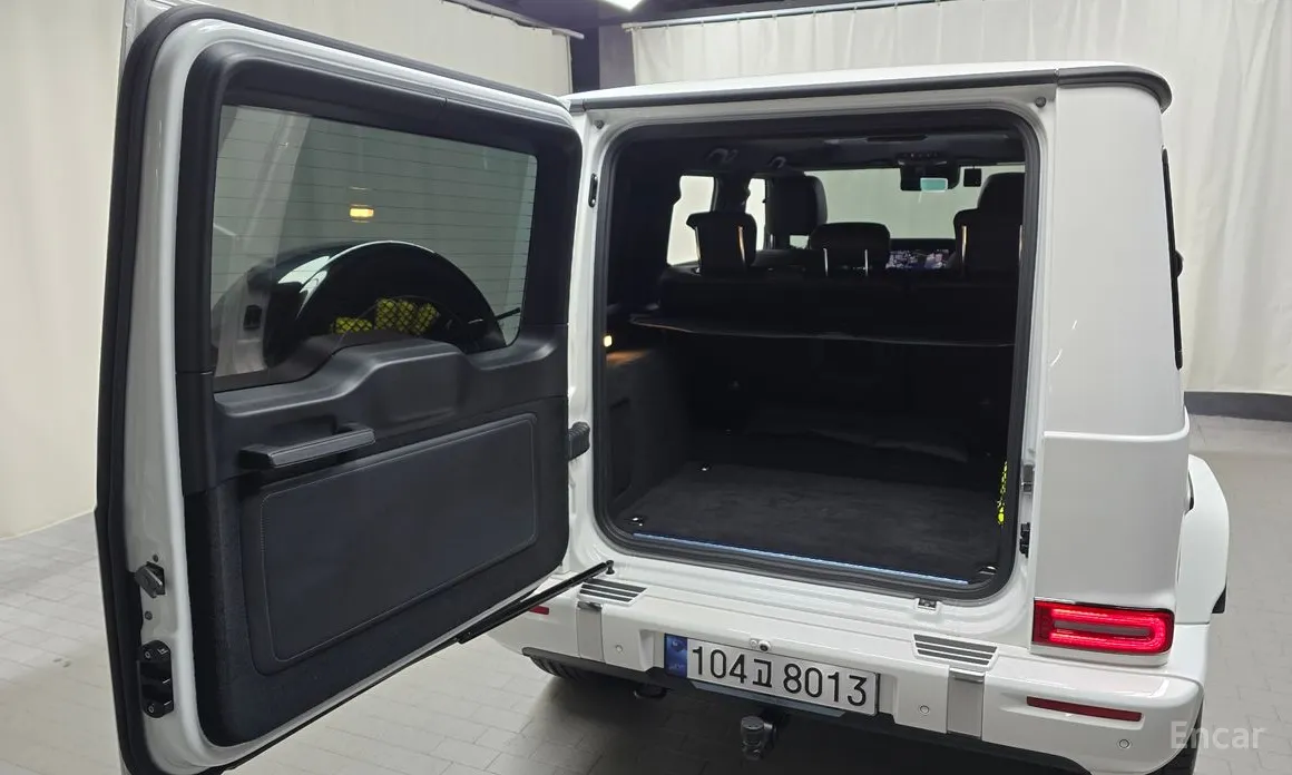 Mercedes-Benz G-Class 2024 G450d