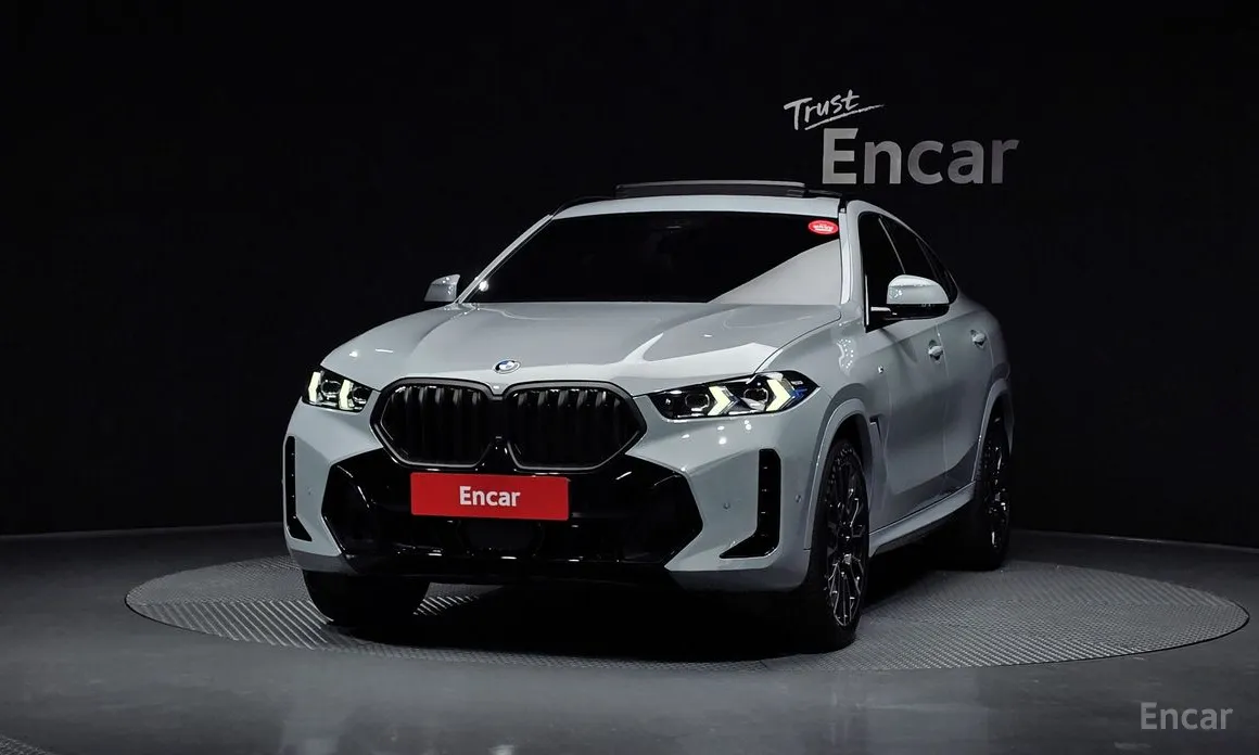 BMW X6 2020 xDrive40i M Sport