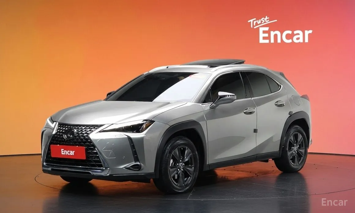 Lexus UX 2019 2.0 2WD