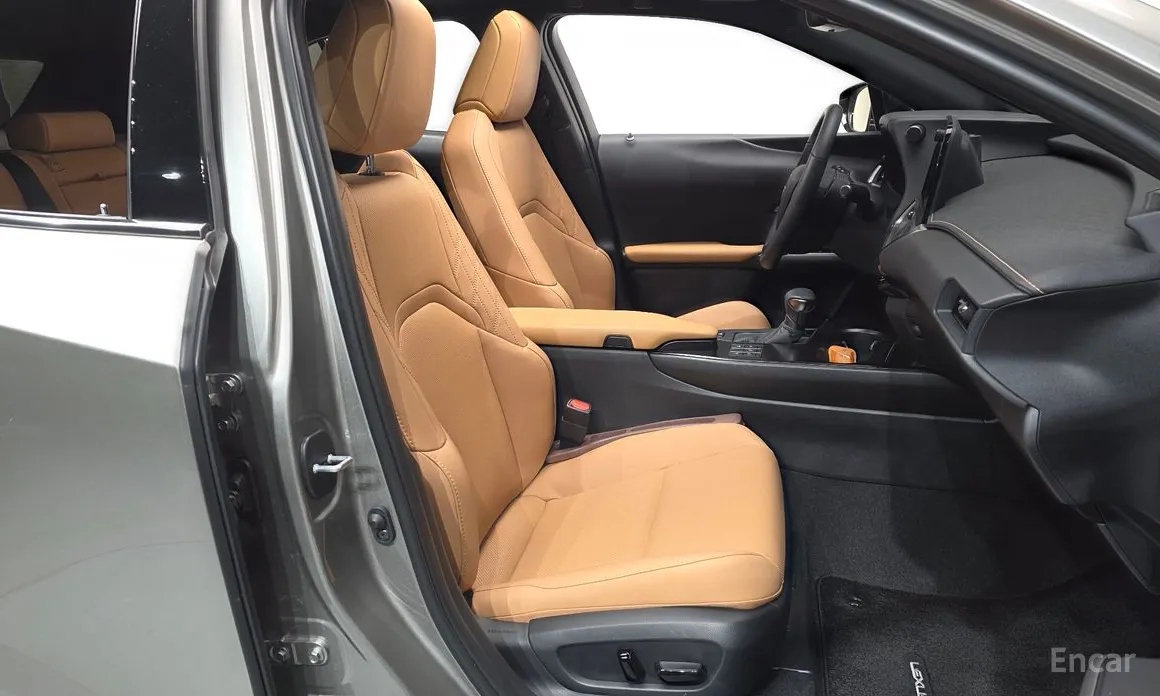 Lexus UX 2019 2.0 2WD