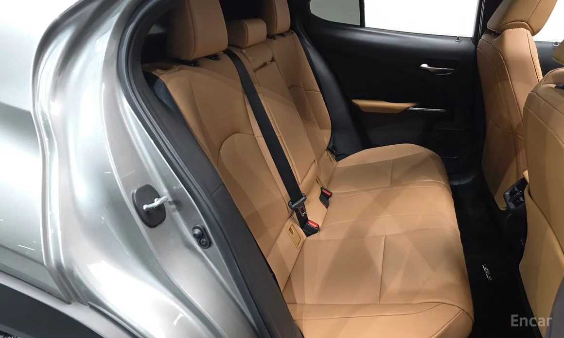 Lexus UX 2019 2.0 2WD