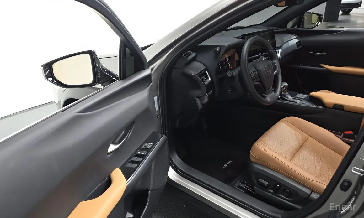 Lexus UX 2019 2.0 2WD