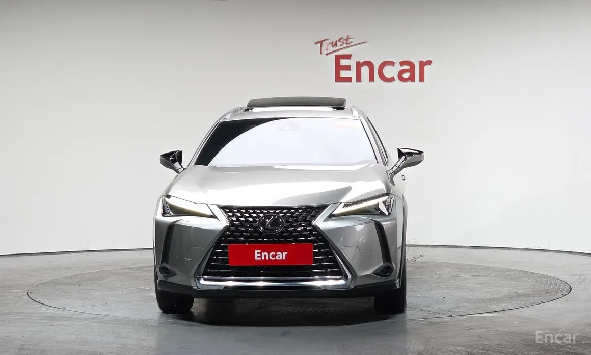 Lexus UX 2019 2.0 2WD