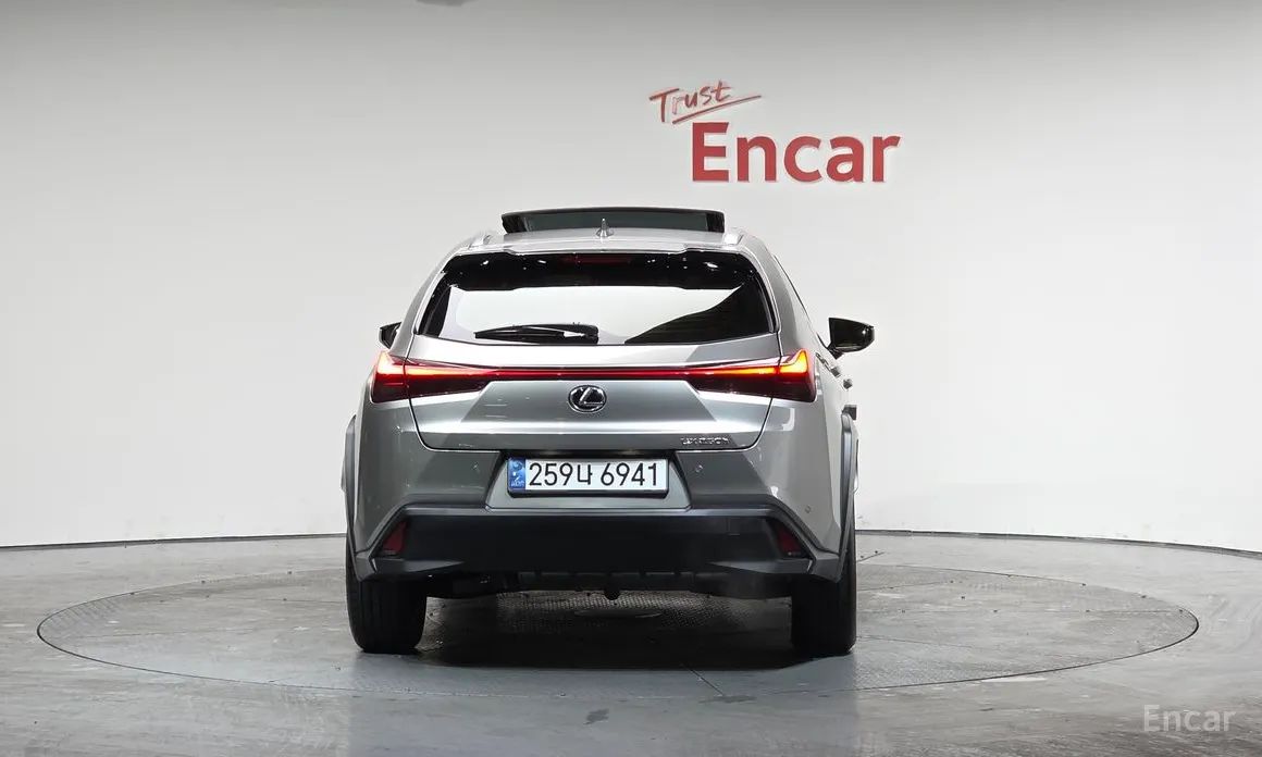 Lexus UX 2019 2.0 2WD