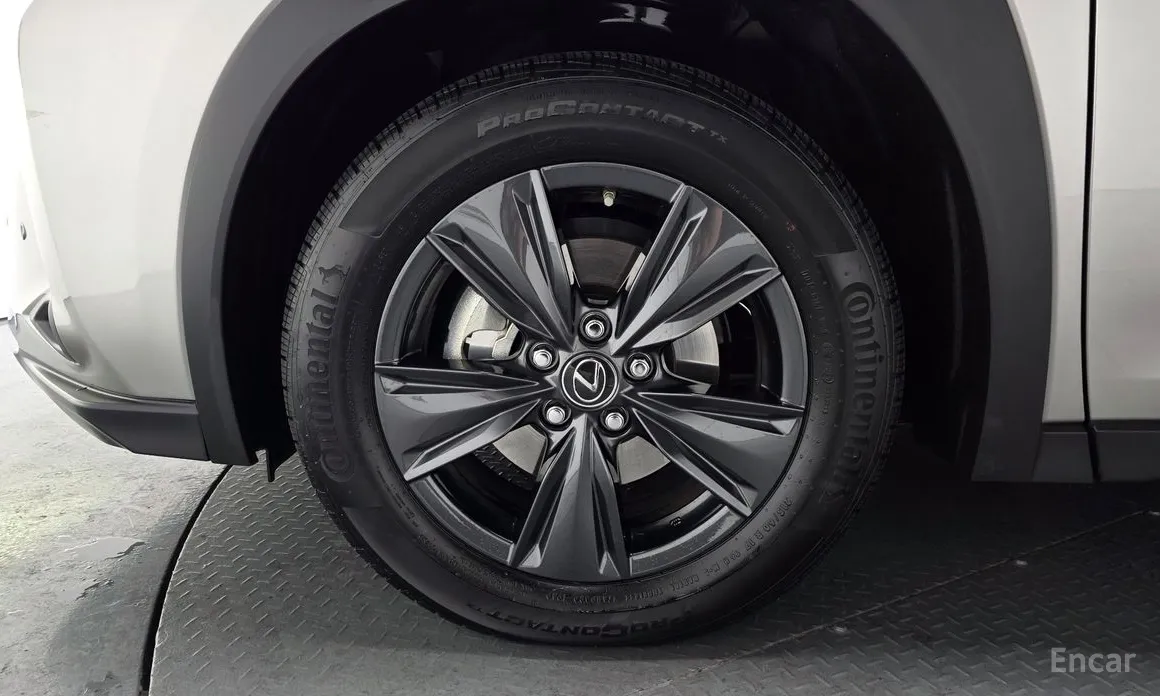 Lexus UX 2019 2.0 2WD