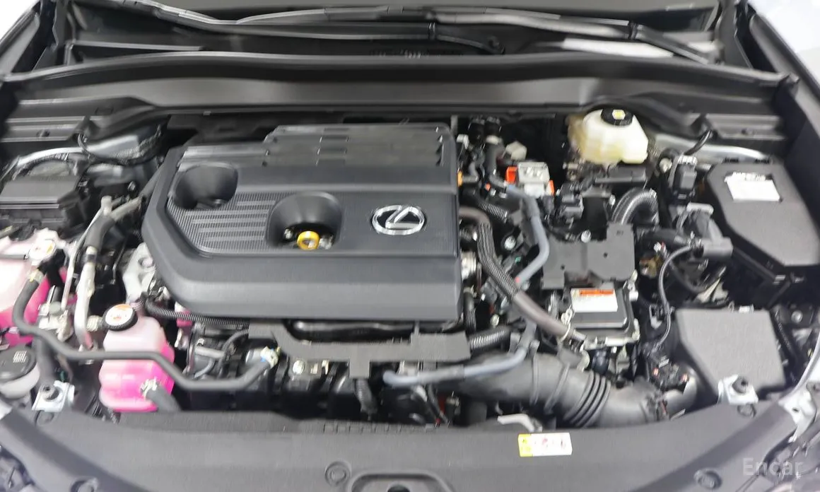 Lexus UX 2024 2.0 F-Sport 2WD