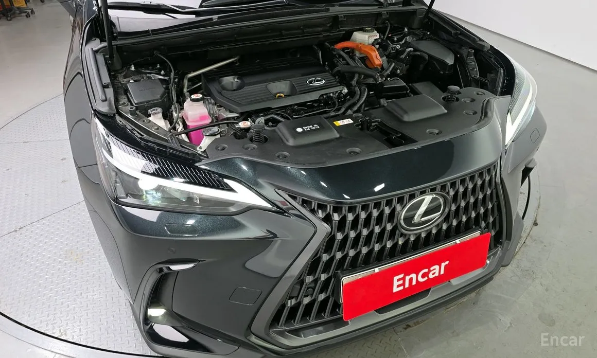 Lexus NX 2022 Premium