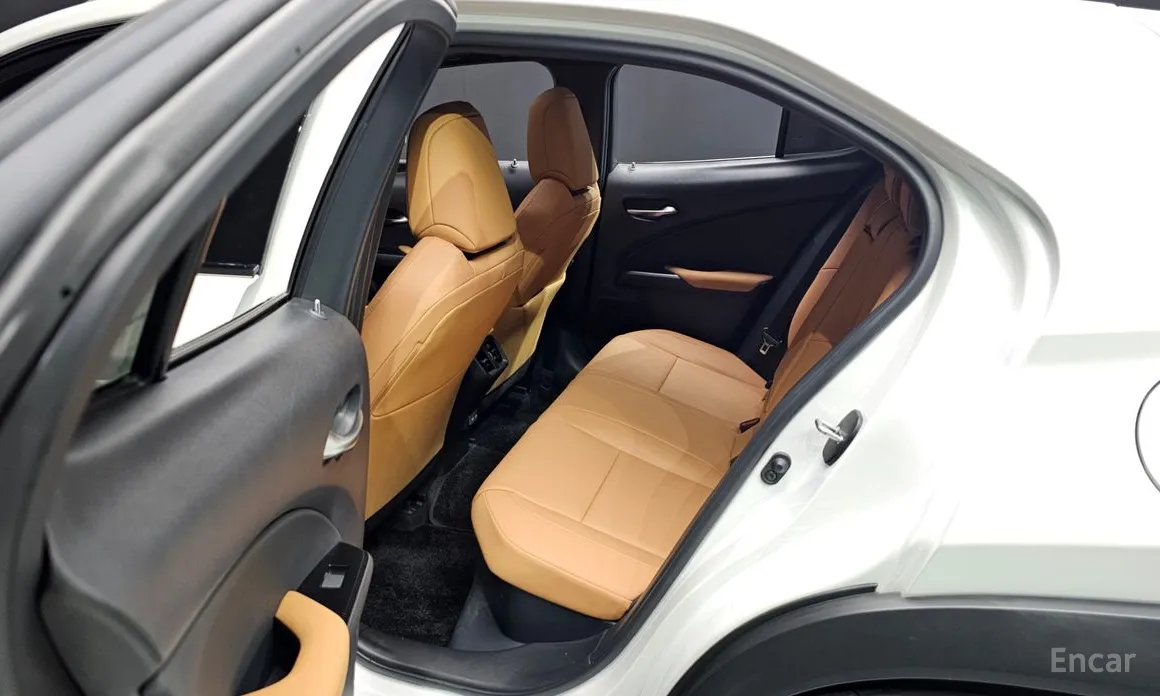 Lexus UX 2019 2.0 2WD