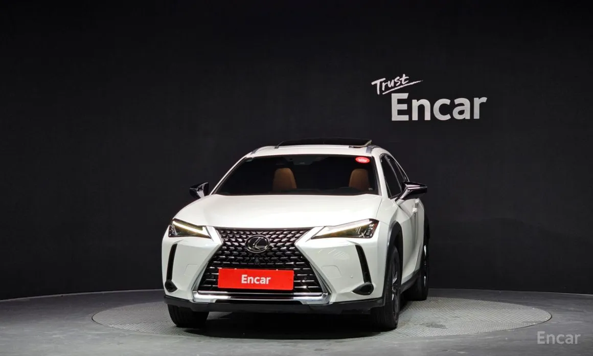 Lexus UX 2019 2.0 2WD