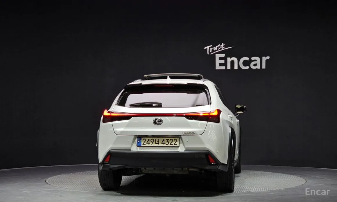 Lexus UX 2019 2.0 2WD