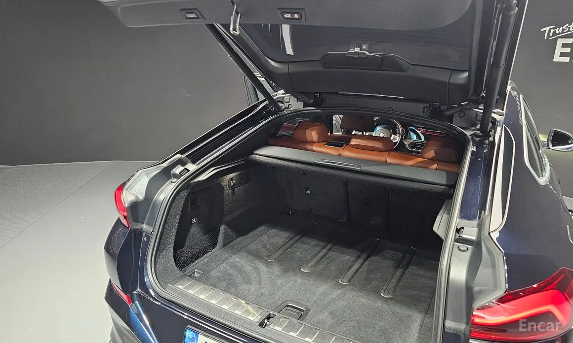 BMW X6 2020 xDrive40i M Sport