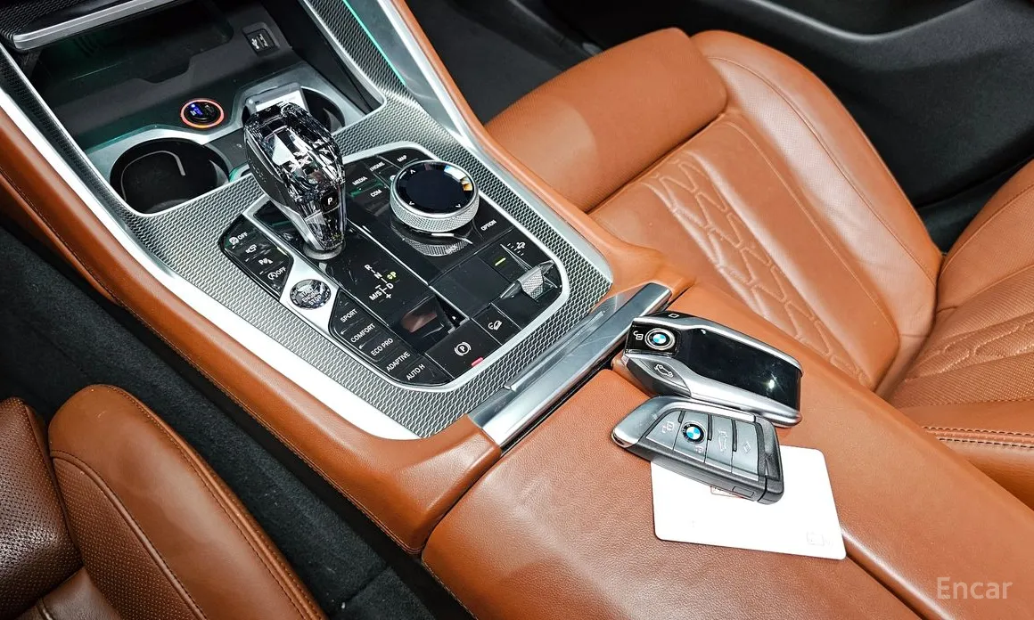 BMW X6 2020 xDrive40i M Sport