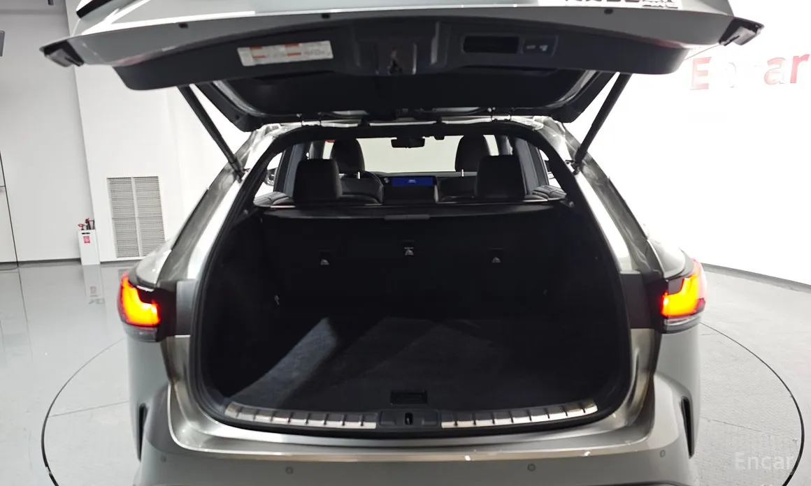 Lexus RX 2023 Luxury