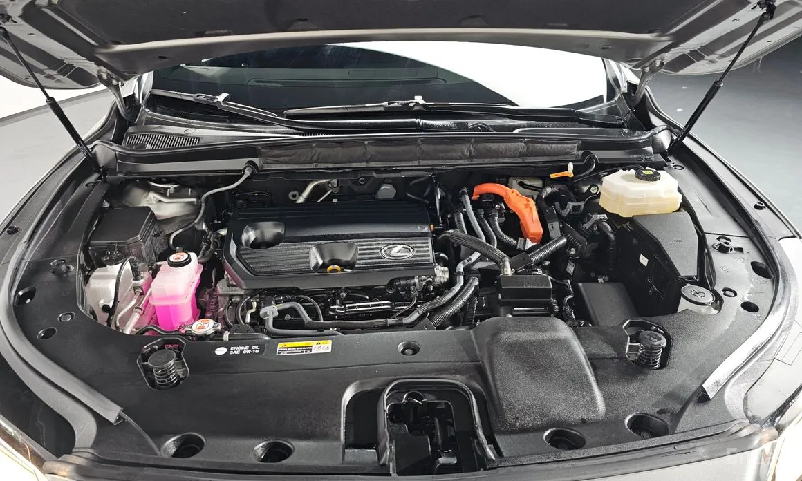 Lexus RX 2023 Luxury