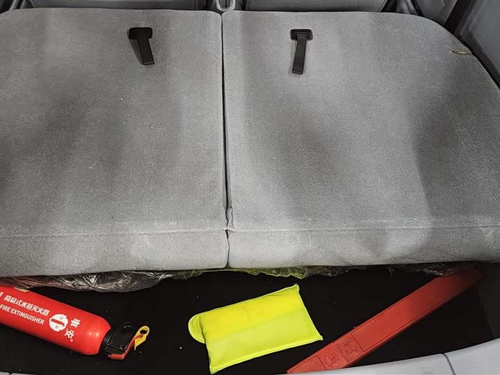 Bestune Pony 2025 2025款 222km 灵动马