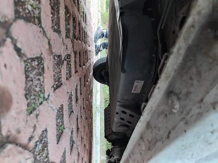 Bestune Pony 2025 2025款 222km 灵动马