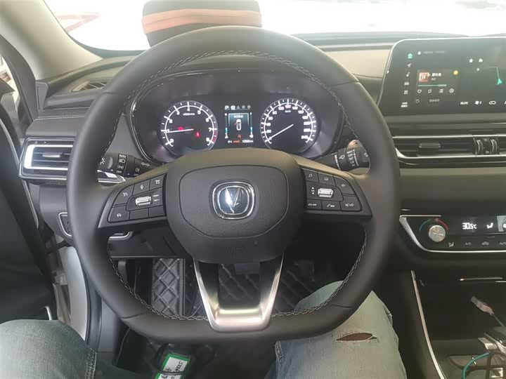 Changan Raeton CC 2022 2022款 蓝鲸版 1.5T DCT豪华型