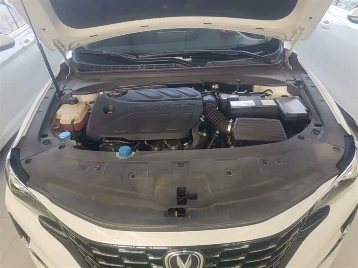 Changan Raeton CC 2022 2022款 蓝鲸版 1.5T DCT豪华型