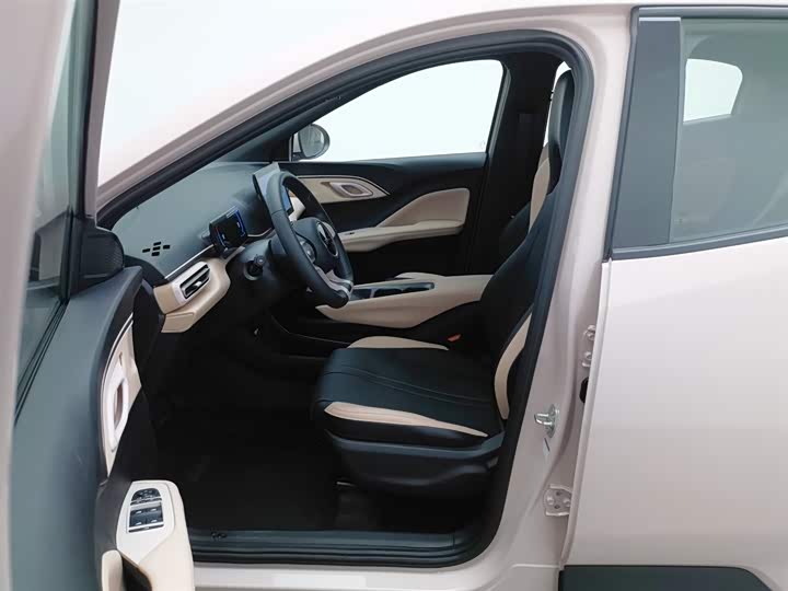 BYD Seagull 2025 2025款 305km 活力版