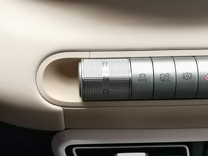 BYD Seagull 2025 2025款 305km 活力版