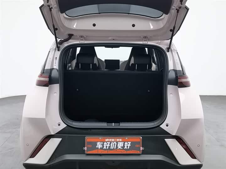 BYD Seagull 2025 2025款 305km 活力版