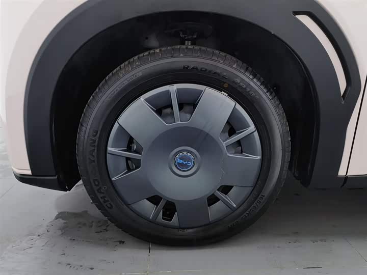 BYD Seagull 2025 2025款 305km 活力版