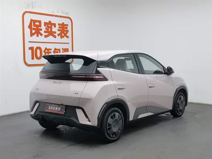 BYD Seagull 2025 2025款 305km 活力版