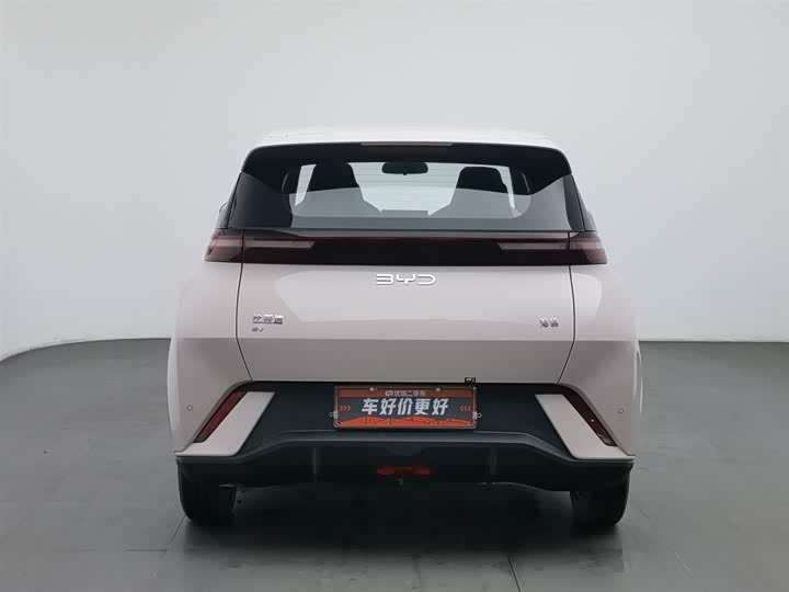 BYD Seagull 2025 2025款 305km 活力版