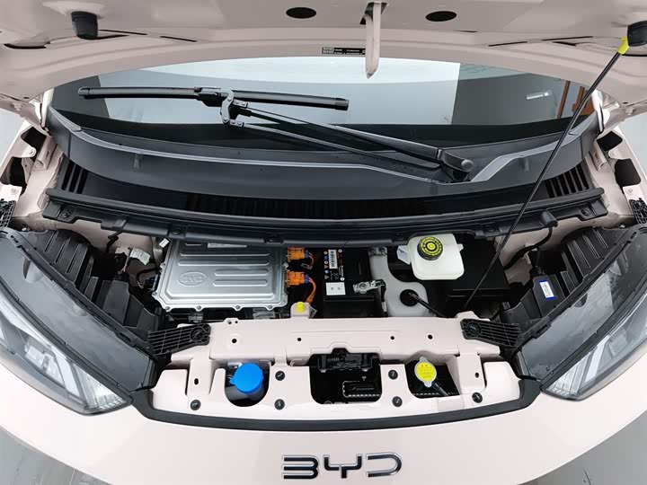 BYD Seagull 2025 2025款 305km 活力版