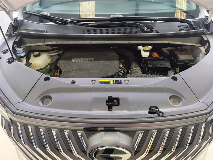 GAC Trumpchi M8 2024 2024款 大师系列 400T 至尊版