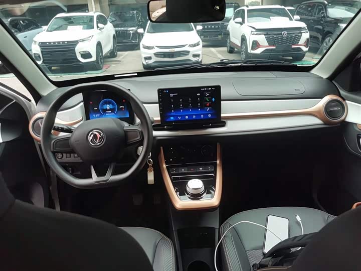 Dongfeng Nammi Nano EX1 2022 2022款 冠军款 轻风版 201KM 标准型