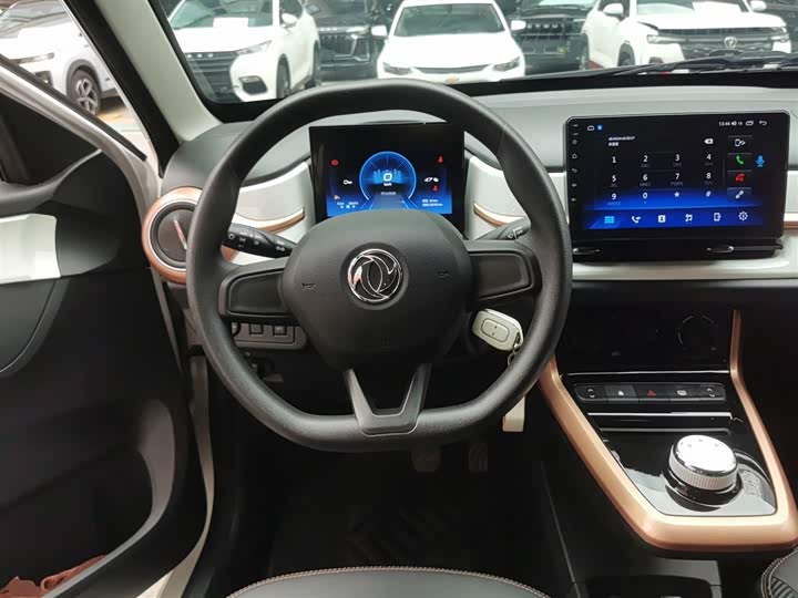 Dongfeng Nammi Nano EX1 2022 2022款 冠军款 轻风版 201KM 标准型