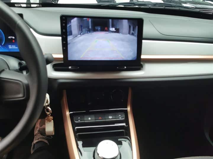 Dongfeng Nammi Nano EX1 2022 2022款 冠军款 轻风版 201KM 标准型