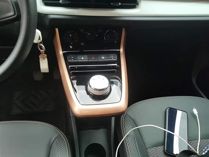 Dongfeng Nammi Nano EX1 2022 2022款 冠军款 轻风版 201KM 标准型