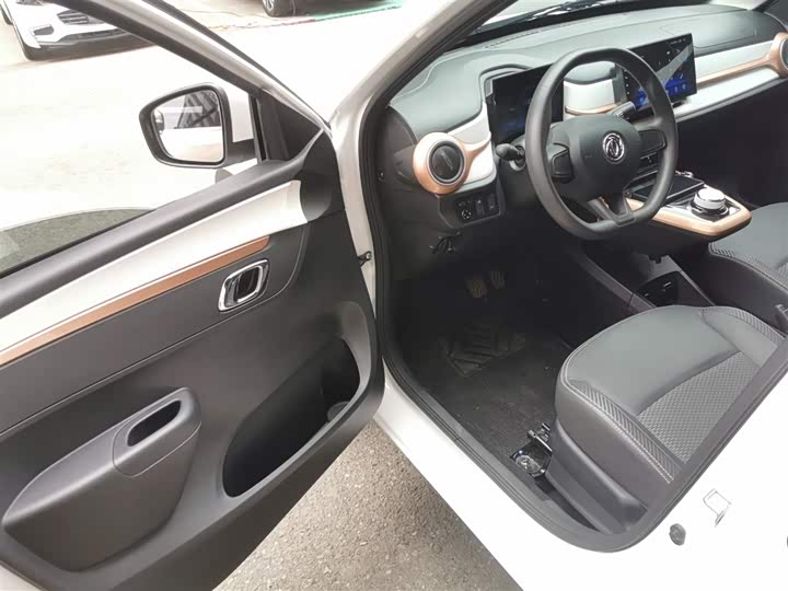 Dongfeng Nammi Nano EX1 2022 2022款 冠军款 轻风版 201KM 标准型
