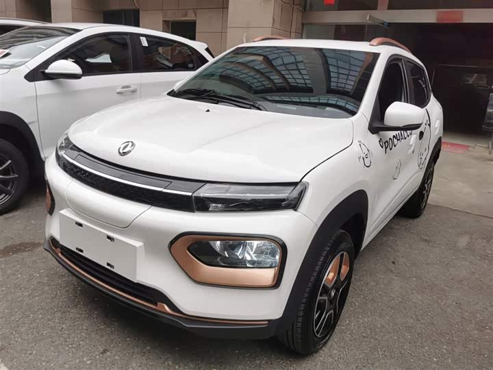 Dongfeng Nammi Nano EX1 2022 2022款 冠军款 轻风版 201KM 标准型