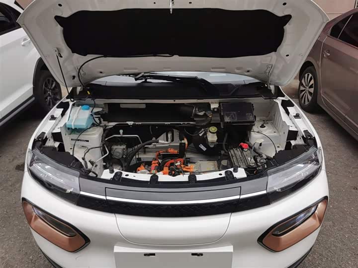 Dongfeng Nammi Nano EX1 2022 2022款 冠军款 轻风版 201KM 标准型