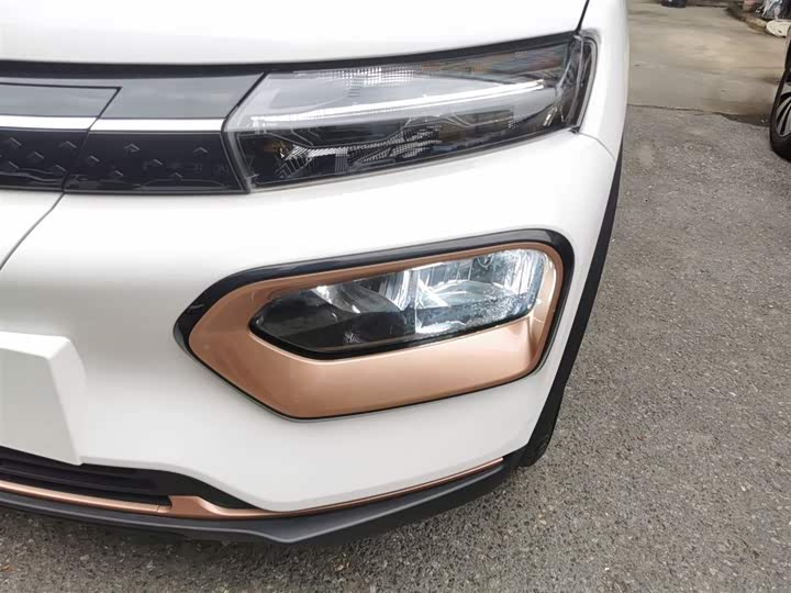 Dongfeng Nammi Nano EX1 2022 2022款 冠军款 轻风版 201KM 标准型