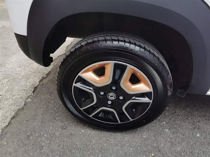 Dongfeng Nammi Nano EX1 2022 2022款 冠军款 轻风版 201KM 标准型