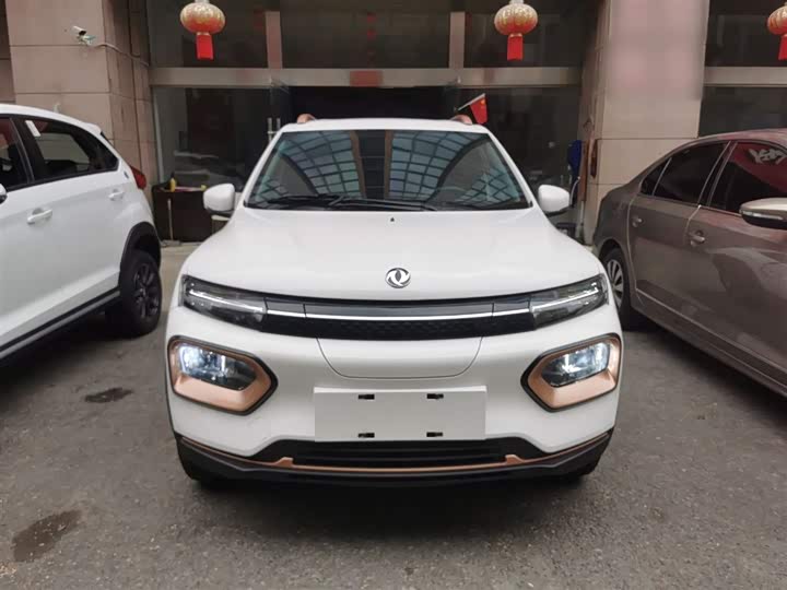 Dongfeng Nammi Nano EX1 2022 2022款 冠军款 轻风版 201KM 标准型