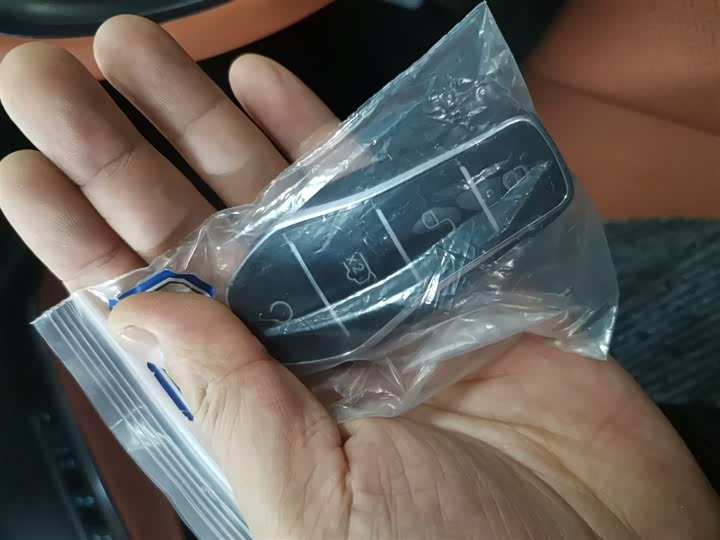 BYD Seal 2025 2025款 改款 650智驾版