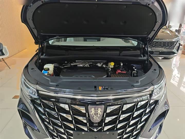 Roewe iMax 8 2023 2023款 400TGI 至享版